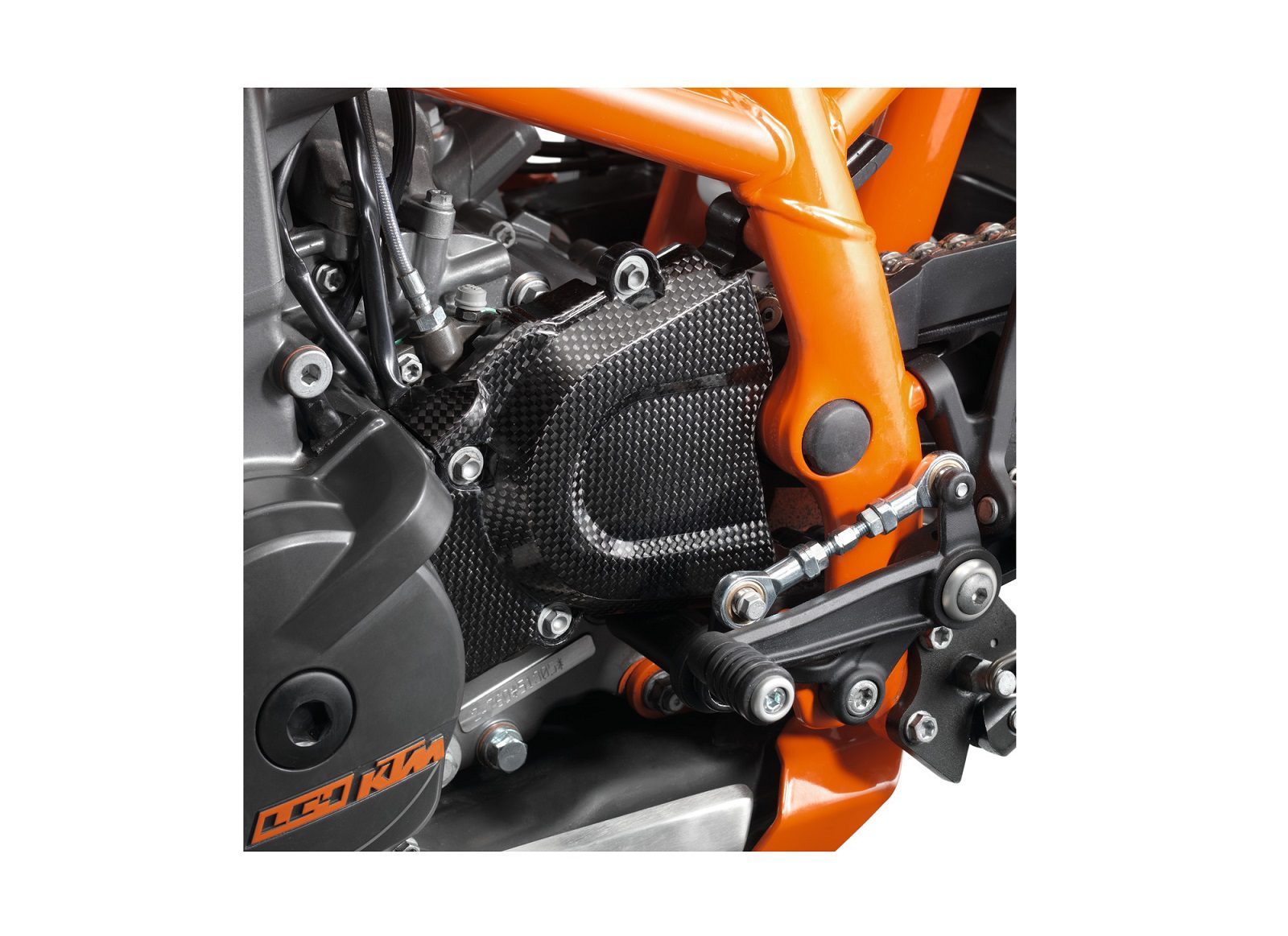 CARBON FRONT CHAINGUARD : 75030960100 / 49