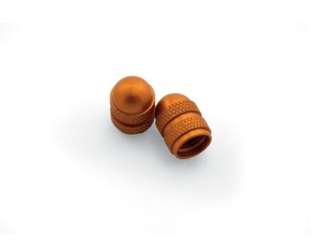 VALVE CAP SET : 77710976150 / 04
